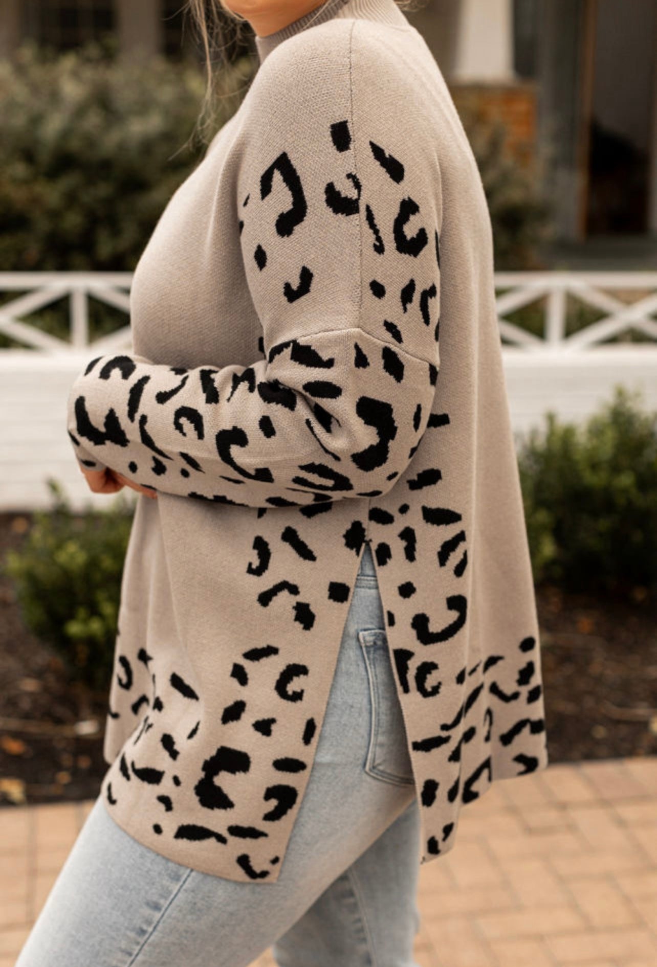 Mariah Cheetah Print Sweater in Curves
