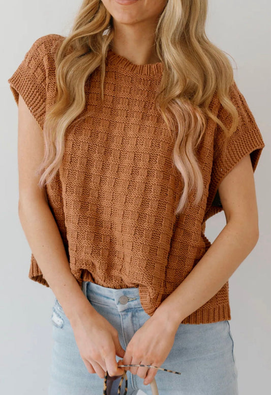 Camel Sleeveless Sweater