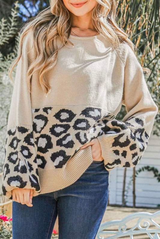 Cheetah Sweater